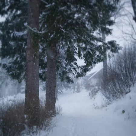 To Tutaj 斯克拉斯卡波伦巴