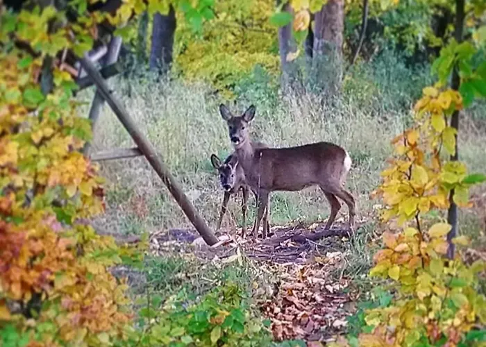 To Tutaj Apartamento *