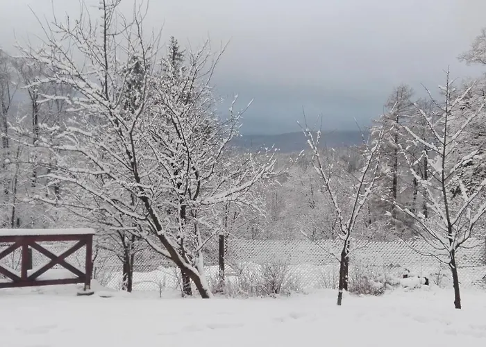 شقة To Tutaj شكلارسكا بوريبا